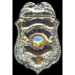 FIRE DEPARTMENT PIN ANAHEIM, CA FIREFIGHTER BADGE PIN